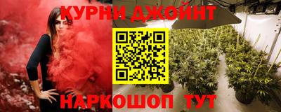 МДПВ Рыбинск