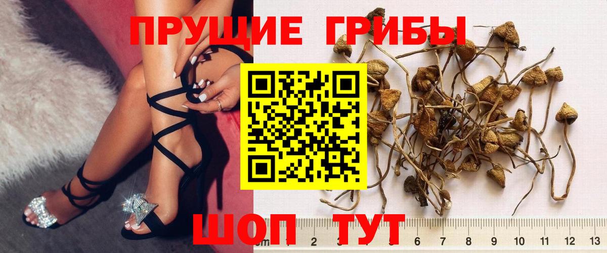 Псилоцибиновые грибы мухоморы  Псилоцибиновые грибы Cubensis  Усинск  Вход с VPN 